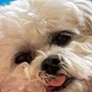 Meet your Posher, Kathy DeShaw